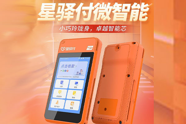 班戈国通微电签POS机